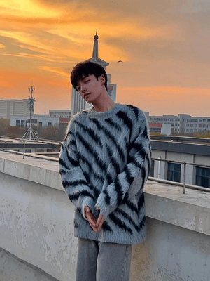 [XXXHOT] Zebra Pattern Mohair Sweater FE0660