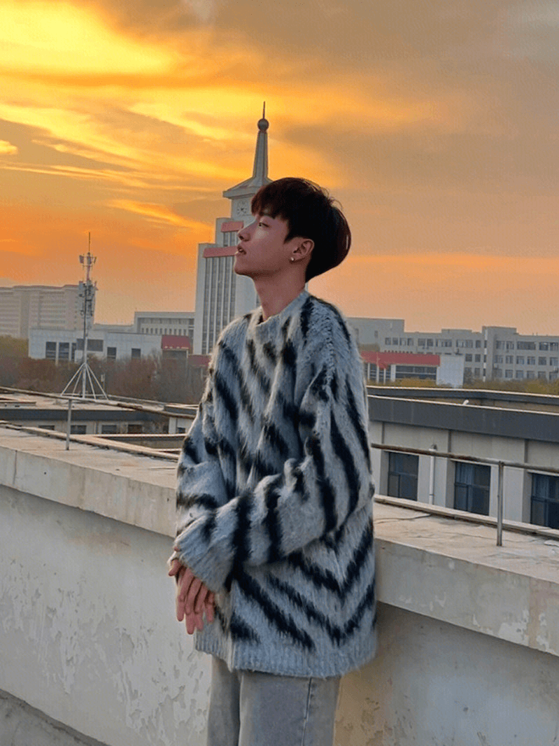[XXXHOT] Zebra Pattern Mohair Sweater FE0660